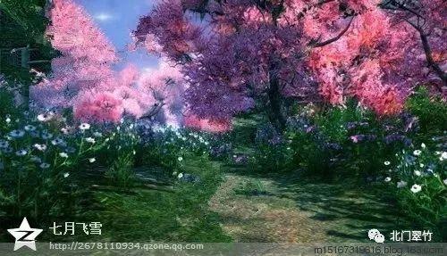 极限摩托大挑战选关版